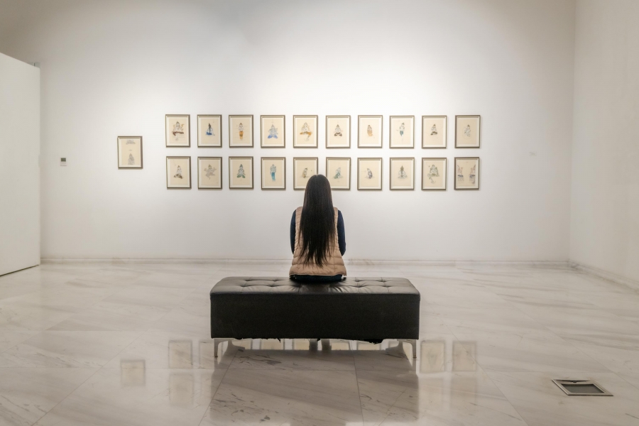 ХААН галерейд залуу уран бүтээлч Э.Ононгуагийн анхны бие даасан үзэсгэлэн нээлтээ хийлээ